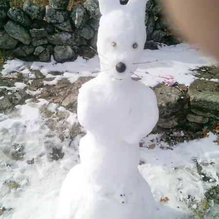 K2 Jabata Bienestar * Cabezas Altas