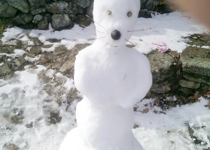 K2 Jabata Bienestar * Cabezas Altas